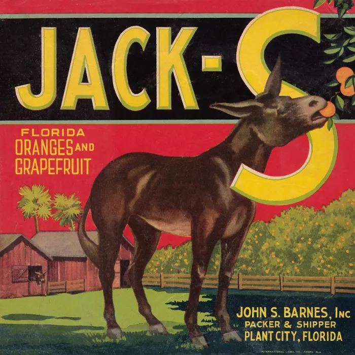 Framed Print : Jack-S. Fruit crate label for the Jack-S brand of Florida oranges and grapefruit Framed Print : Jack-S. Fruit crate label for the Jack-S brand of Florida oranges and grapefruit