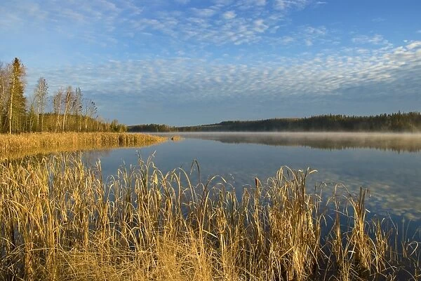 Jackfish lake, Ontario, Canada