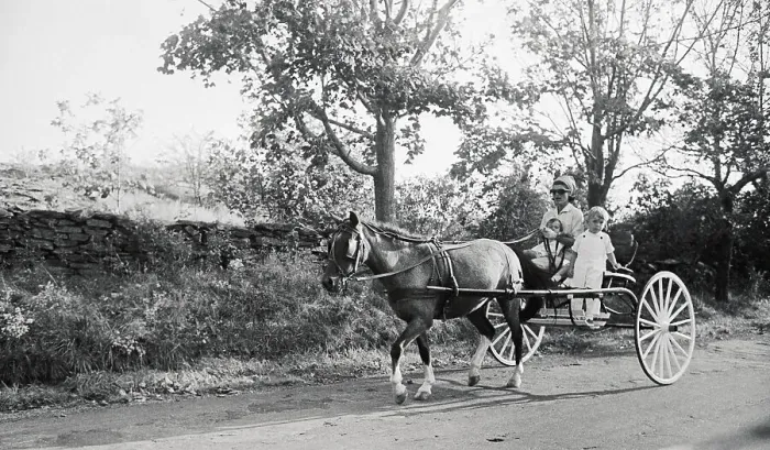 Framed Print : Jacqueline Bouvier Kennedy Taking the Children on a Cart Ride Framed Print : Jacqueline Bouvier Kennedy Taking the Children on a Cart Ride
