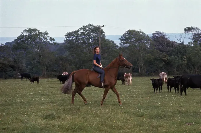 Framed Print : Jacqueline Kennedy Onassis Riding Horse in Field Framed Print : Jacqueline Kennedy Onassis Riding Horse in Field