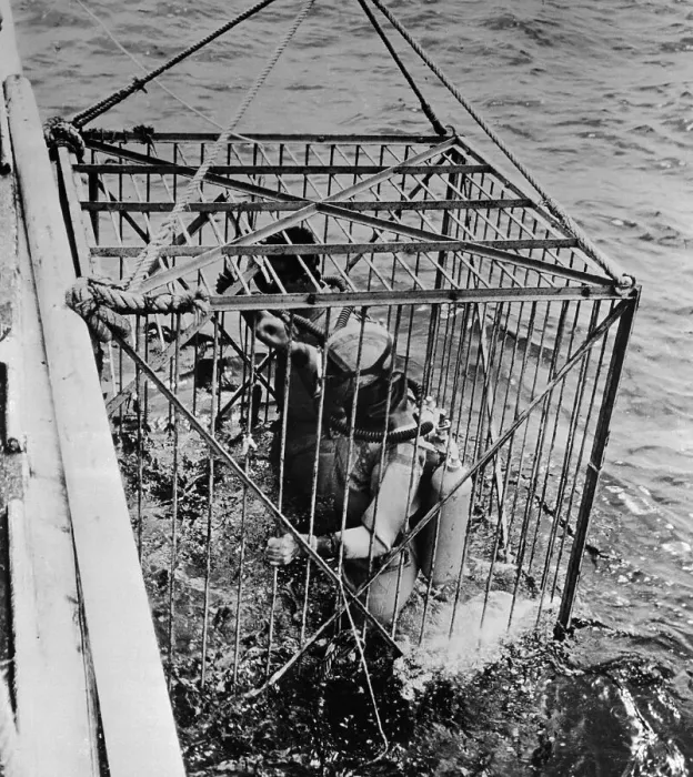 Framed Print : Jacques Cousteau Team Descending in Shark Cage Framed Print : Jacques Cousteau Team Descending in Shark Cage