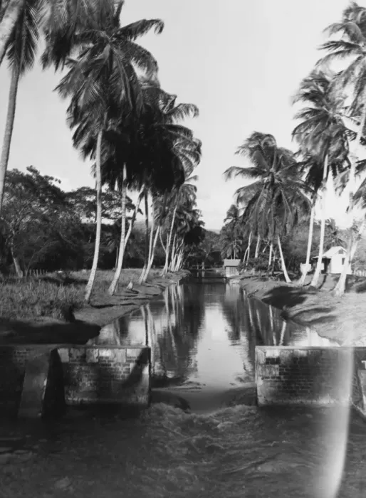Framed Print : Jamaica Water Framed Print : Jamaica Water