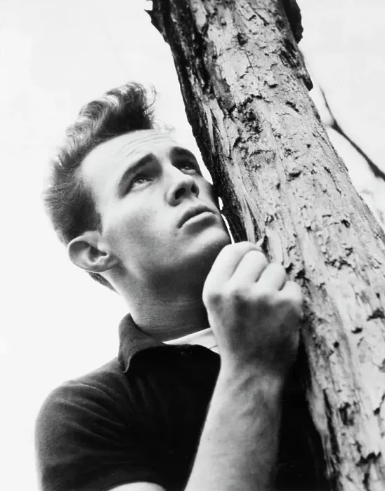 Framed Print : James Dean Lookalike Leaning Against Tree Framed Print : James Dean Lookalike Leaning Against Tree
