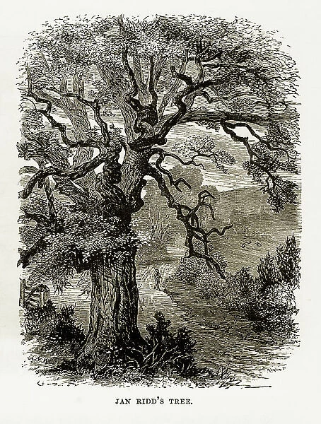 Jan Ridd's Tree, Exmoor, England Victorian Engraving, 1840