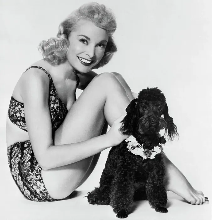 Framed Print : Janet Leigh in Bathing Suit with Poodle Framed Print : Janet Leigh in Bathing Suit with Poodle