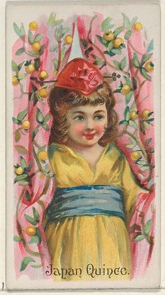 Japan Quince Trade Card 1891