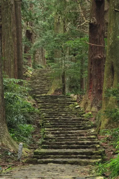 Framed Print : Japan, Wakayama, Kumano Kodo, Daimonzaka Slope, Stepped walkway in forest Framed Print : Japan, Wakayama, Kumano Kodo, Daimonzaka Slope, Stepped walkway in forest