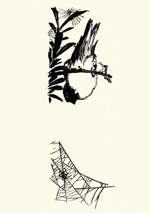 Framed Print : Japanese Art, Sketch of a Bird and spider Framed Print : Japanese Art, Sketch of a Bird and spider