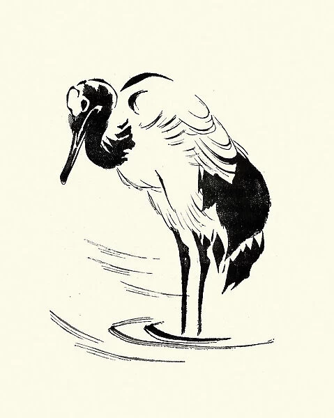 Japanese Art, Sketch of a Crane or Heron