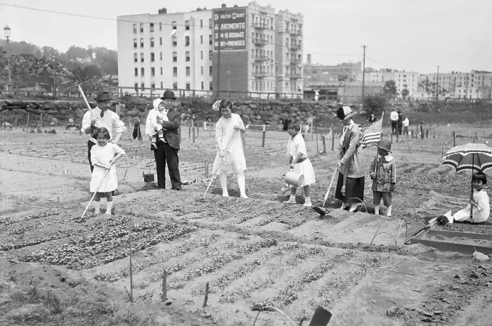 Framed Print : Japanese People Cultivating Plot in New York City Framed Print : Japanese People Cultivating Plot in New York City