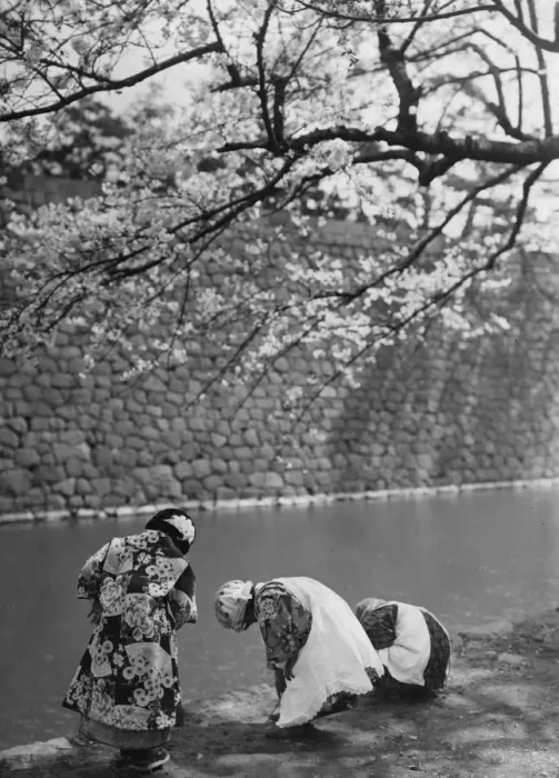 Framed Print : Japanese Scene Framed Print : Japanese Scene