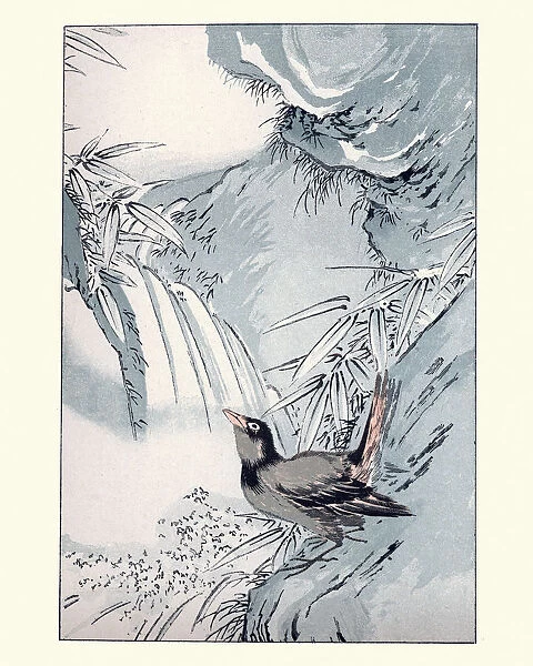 Japanesse Art, Study of a Bird