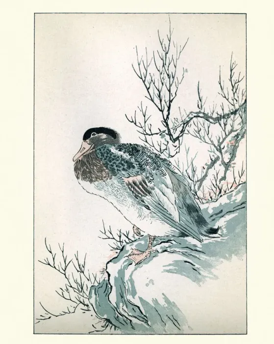 Framed Print : Japanesse Art, Study of a Duck Framed Print : Japanesse Art, Study of a Duck