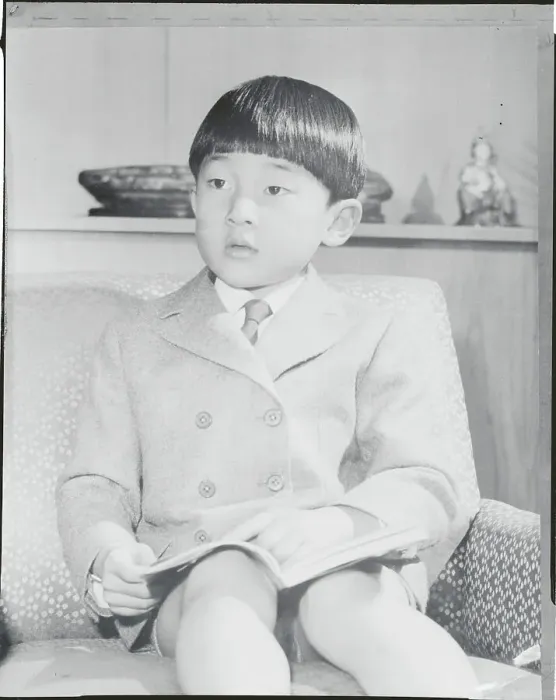 Framed Print : Japan's Prince Hiro Framed Print : Japan's Prince Hiro