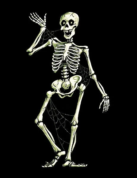 Jaunty skeleton
