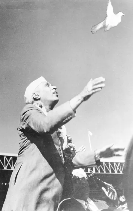 Framed Print : Jawaharlal Nehru Watching Pigeons Framed Print : Jawaharlal Nehru Watching Pigeons