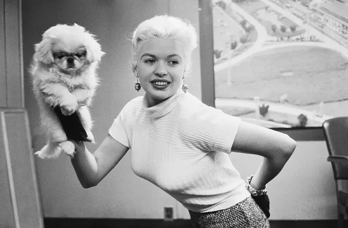 Framed Print : Jayne Mansfield with Hand Held Puppet Framed Print : Jayne Mansfield with Hand Held Puppet