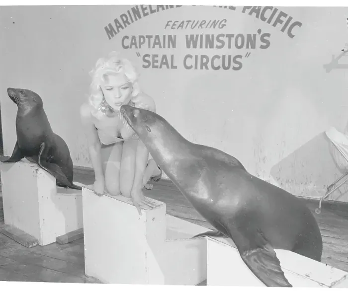 Framed Print : Jayne Mansfield Kissing Seal Framed Print : Jayne Mansfield Kissing Seal