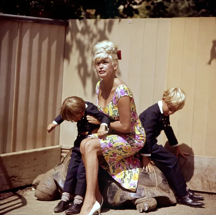 Framed Print : Jayne Mansfield With Sons Framed Print : Jayne Mansfield With Sons
