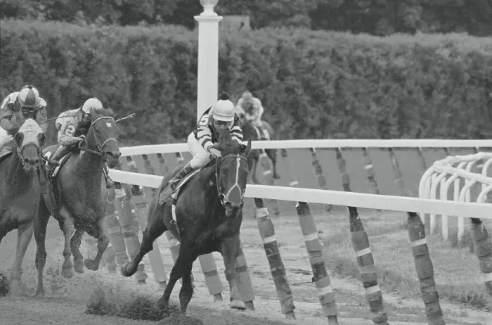 Framed Print : Jean Cruguet Riding Seattle Slew Framed Print : Jean Cruguet Riding Seattle Slew