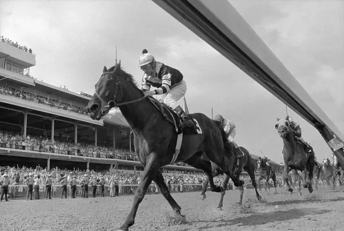 Framed Print : Jean Cruguet Riding Seattle Slew Framed Print : Jean Cruguet Riding Seattle Slew