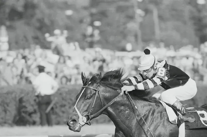 Framed Print : Jean Cruguet Riding Seattle Slew in Belmont Stakes Framed Print : Jean Cruguet Riding Seattle Slew in Belmont Stakes