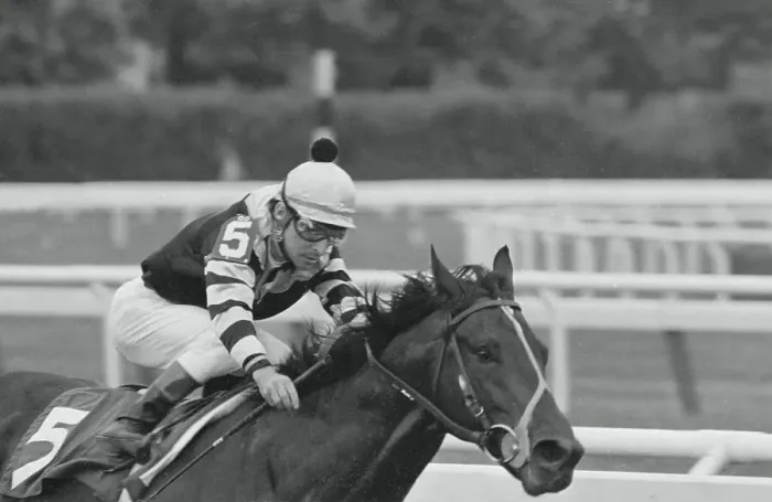 Framed Print : Jean Cruguet and Seattle Slew in Belmont Stakes Framed Print : Jean Cruguet and Seattle Slew in Belmont Stakes