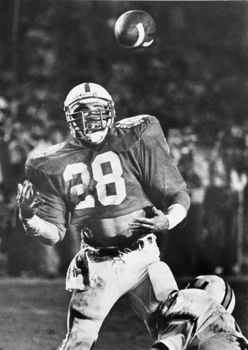 Framed Print : Jeff Smith Framed Print : Jeff Smith