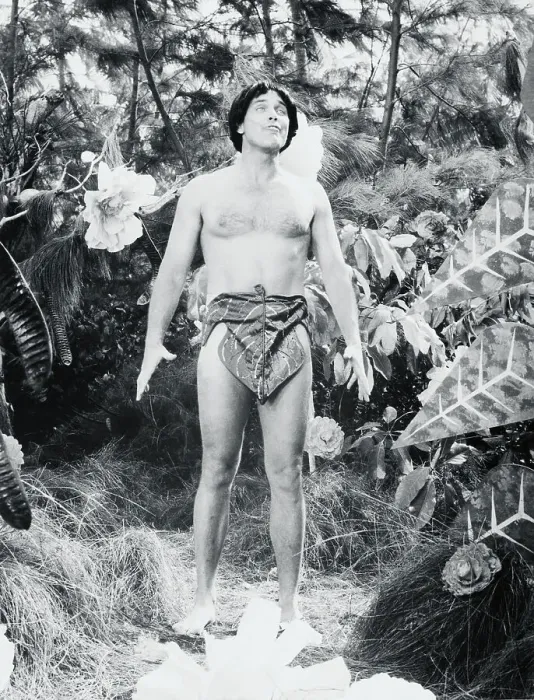 Framed Print : Jeffrey Hunter Wearing Fig Leaf Framed Print : Jeffrey Hunter Wearing Fig Leaf