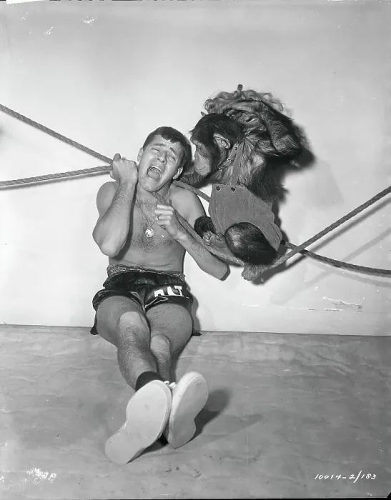Framed Print : Jerry Lewis and Chimpanzee in a Wrestling Match Framed Print : Jerry Lewis and Chimpanzee in a Wrestling Match