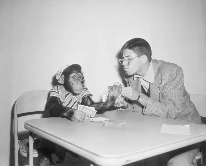 Framed Print : Jerry Lewis Playing Cards With Monkey