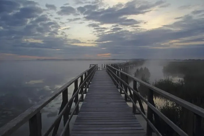 Framed Print : Jetty at Federsee lake, Federsee lake nature reserve, morning mood, Baden-Wuerttemberg, Germany, Europe Framed Print : Jetty at Federsee lake, Federsee lake nature reserve, morning mood, Baden-Wuerttemberg, Germany, Europe