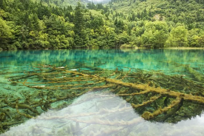 Framed Print : Jiuzhaigou Framed Print : Jiuzhaigou