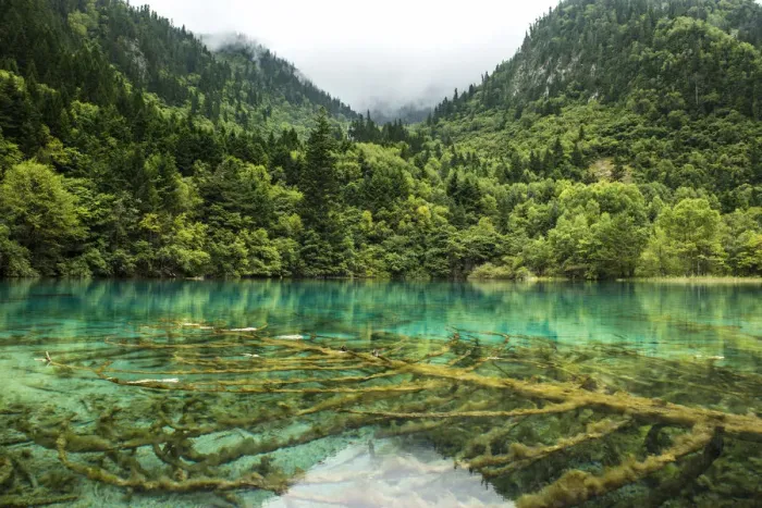 Framed Print : Jiuzhaigou