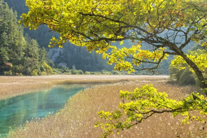 Framed Print : Jiuzhaigou NP Framed Print : Jiuzhaigou NP