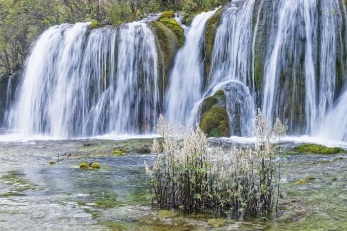 Framed Print : Jiuzhaigou NP - Arrow Bamboo Lake Framed Print : Jiuzhaigou NP - Arrow Bamboo Lake