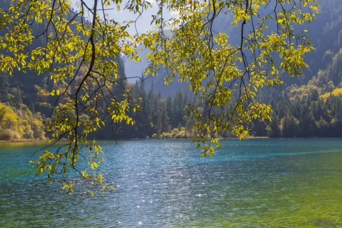 Framed Print : Jiuzhaigou NP - Colorful Lake Framed Print : Jiuzhaigou NP - Colorful Lake
