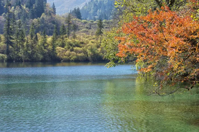 Framed Print : Jiuzhaigou NP - Panda Lake
