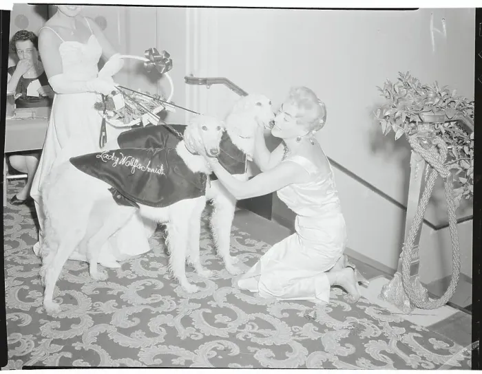Framed Print : Joan Crawford Petting Russian Wolfhounds