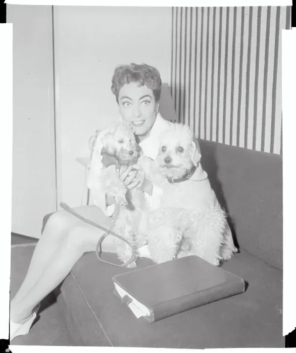 Framed Print : Joan Crawford Posing with Dogs Framed Print : Joan Crawford Posing with Dogs