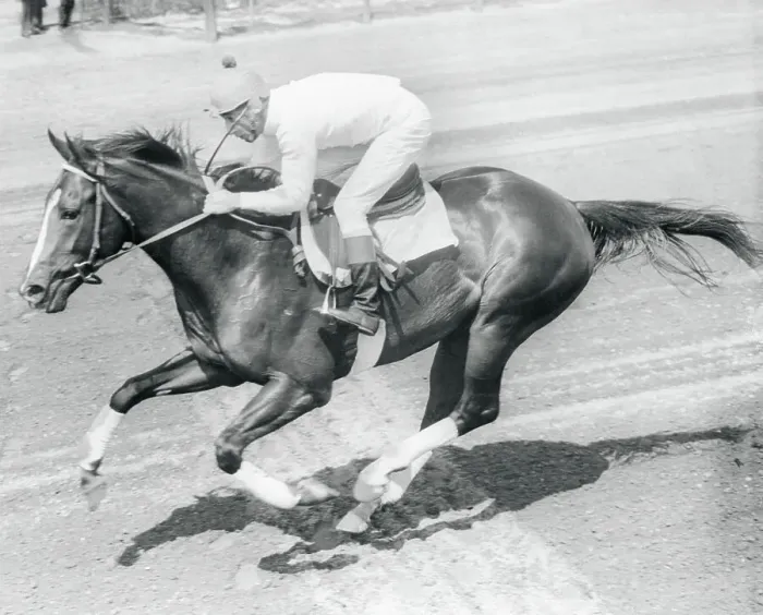 Framed Print : Jockey Eddie Arcaro Riding Race Horse Jewels Reward Framed Print : Jockey Eddie Arcaro Riding Race Horse Jewels Reward