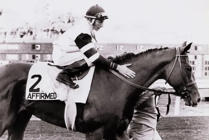 Framed Print : Jockey Patting Affirmed on the Neck Framed Print : Jockey Patting Affirmed on the Neck
