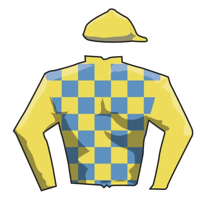 Framed Print : Jockey silks