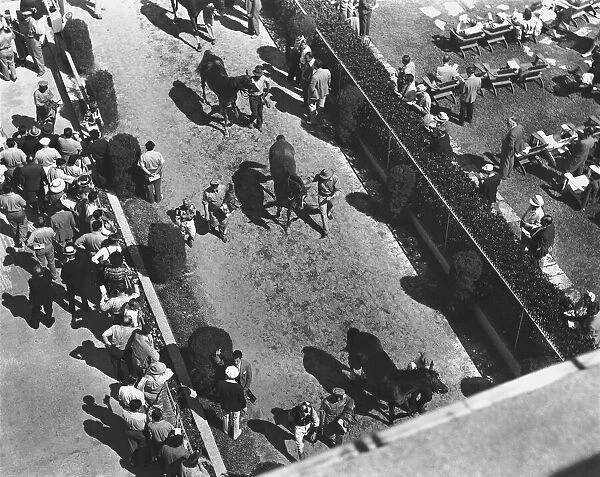 Jockeys leading horses to starting gate, (B&W), elevated view