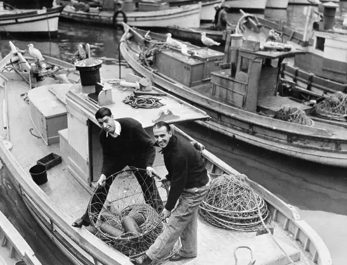 Framed Print : Joe DiMaggio and Frank Croseti Handling Crab Basket Aboard Boat Framed Print : Joe DiMaggio and Frank Croseti Handling Crab Basket Aboard Boat