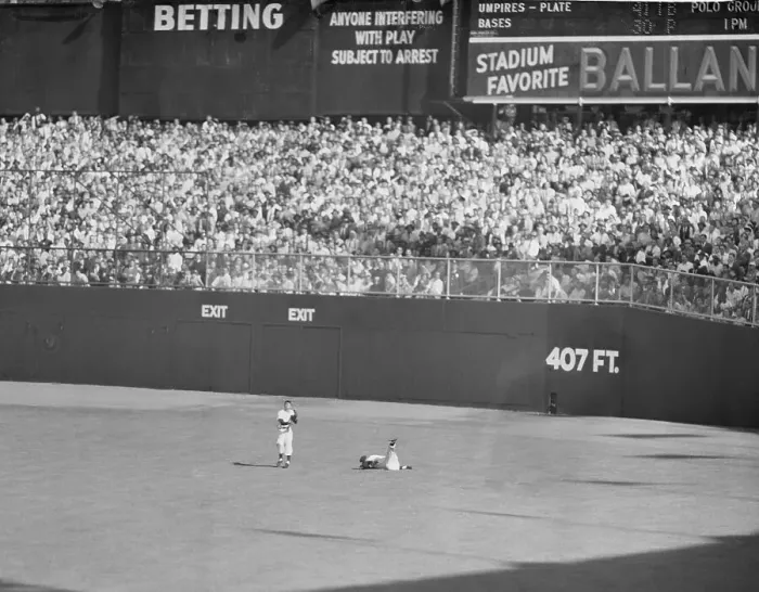 Framed Print : Joe DiMaggio and Mickey Mantle Framed Print : Joe DiMaggio and Mickey Mantle