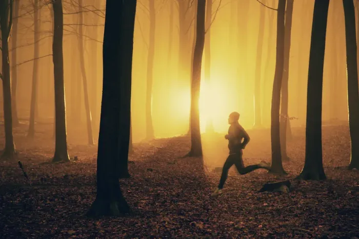 Framed Print : Jogger at sunrise in misty forest Framed Print : Jogger at sunrise in misty forest