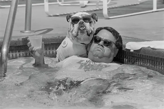 Framed Print : John Bisciglia With Pet Bulldog in Pool Framed Print : John Bisciglia With Pet Bulldog in Pool