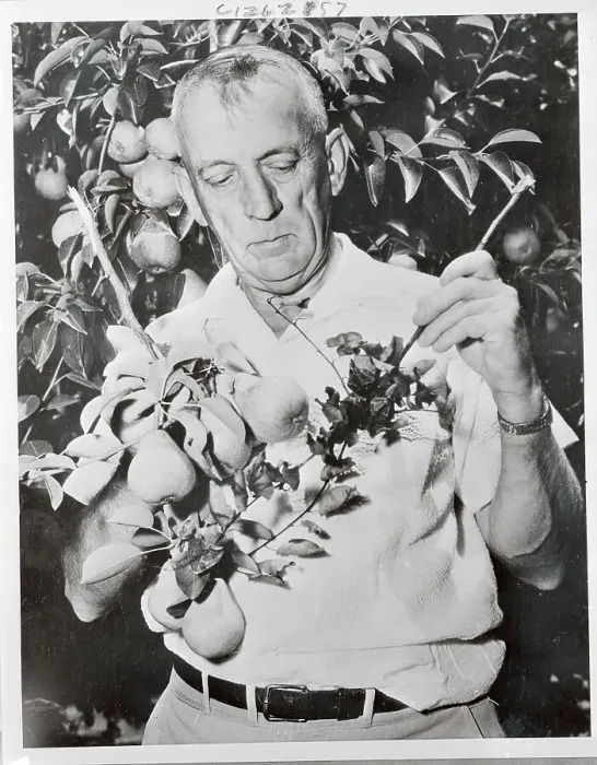 Framed Print : John C. Dunegan with Plants Framed Print : John C. Dunegan with Plants