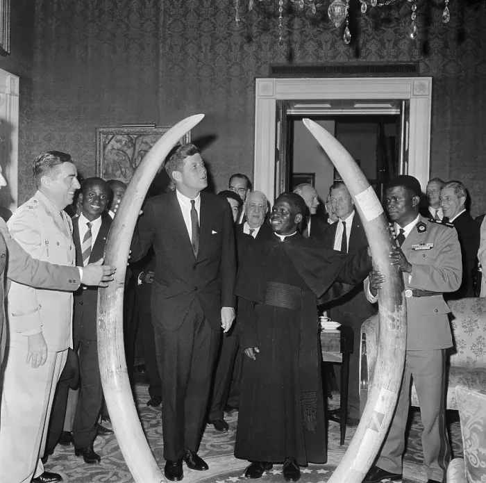 Framed Print : John F Kennedy and Fulbert Youlou Standing with Elephant Tusks Framed Print : John F Kennedy and Fulbert Youlou Standing with Elephant Tusks